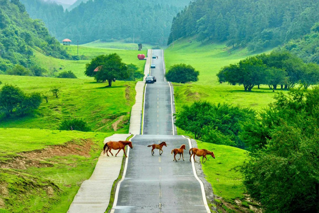 Фото - экскурсия: Однодневная экскурсия к горе Вулун и природным Трем мостам