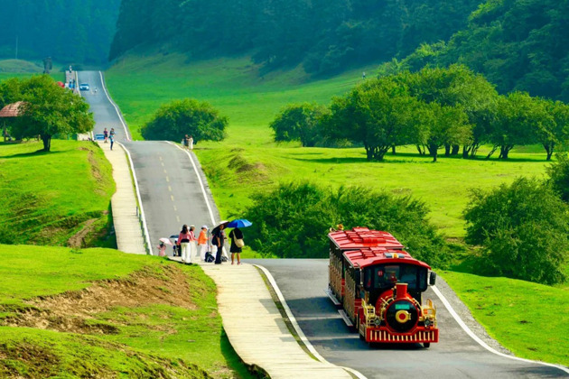 Фото - экскурсия: Двухдневное путешествие в Чунцин для ярких впечатлений