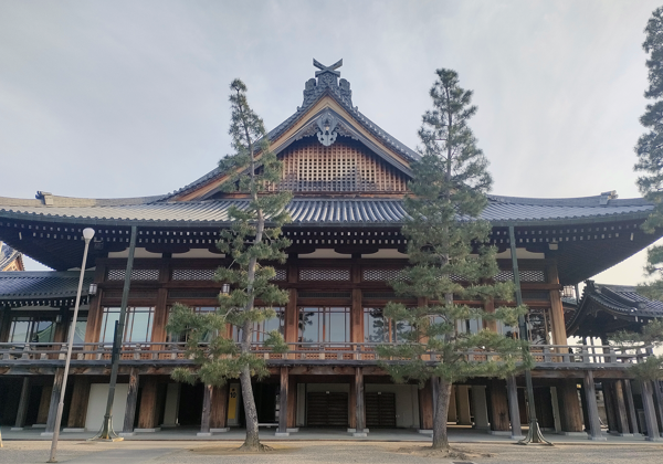 Нара и Тенри: как сделать мир лучше - фото 4