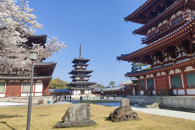 Фото - экскурсия: Нара и Тенри: путь к улучшению мира
