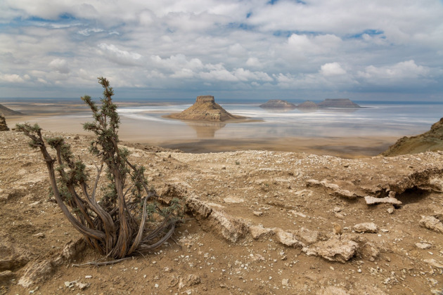 Фото - экскурсия: Путешествие по мангышлакским оазисам