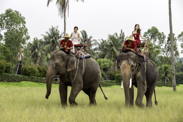 Фото экскурсии - Погружение в Сиам: традиции, история и гастрономия за сутки - 3