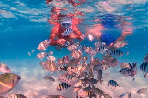 Фото экскурсии - Снорклинг у трех островов и пляжный отдых на Нонг Рам - 12