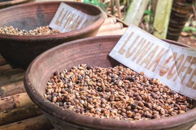 Фото экскурсии - Экскурсия из Нячанга в Далат: главные достопримечательности - храмы, водопады и кофейные плантации - 2