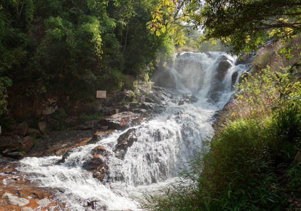 В Далат из Нячанга: всё самое интересное — храмы, водопады, кофе