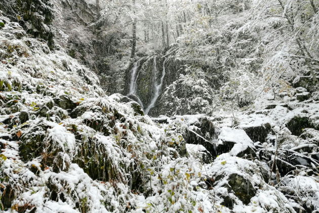 Фото экскурсии - Трек к водопаду Кейва в Красной Поляне - 5