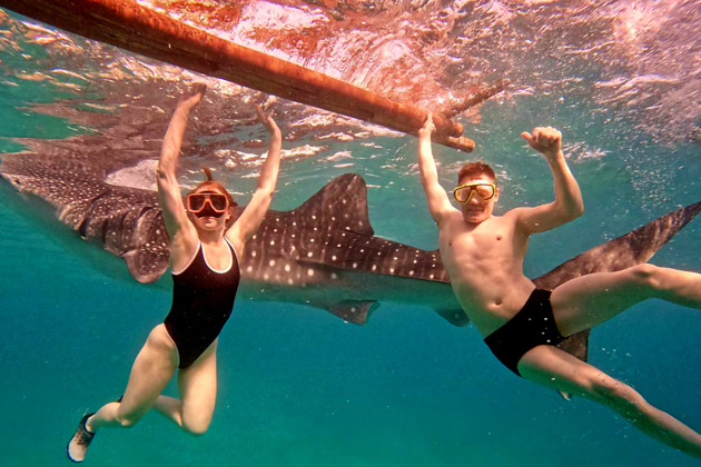 Потрясающий снорклинг с акулами, сардинами и черепахами на Себу