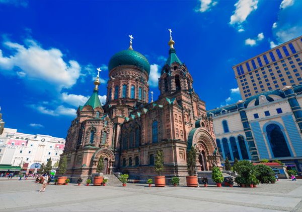 Однодневное приключение в Харбине: От царя тайги до ледяного королевства - фото 4