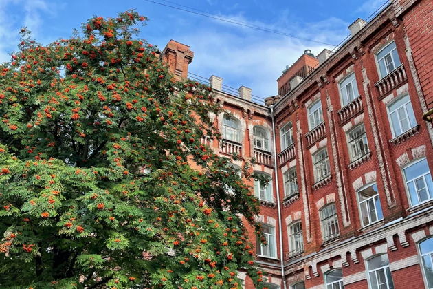 Фото экскурсии - Морозовский городок: аудиоспектакль и прогулка по индустриальной Твери - 8