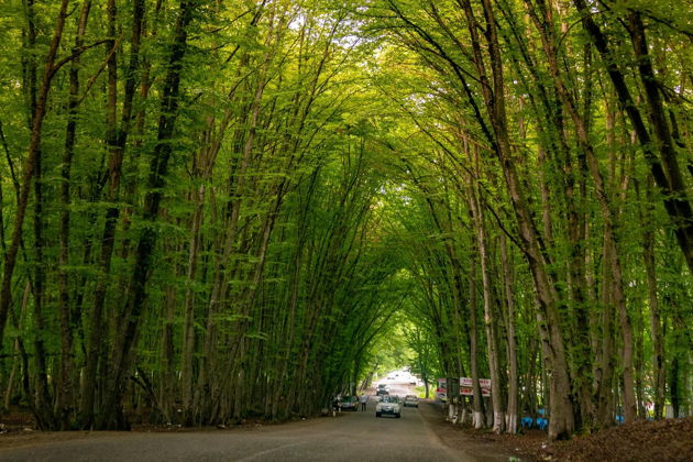 Фото экскурсии - Колорит Хызы и вершины Шахдага с бонусом в виде Старого города и вечернего Баку - 1