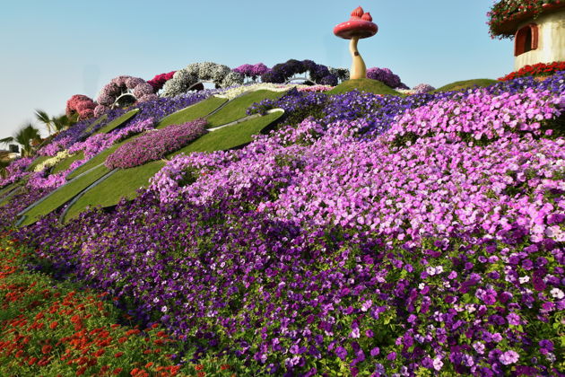 Фото экскурсии - Экскурсия в парк цветов Miracle Garden и ярмарку Global Village из Абу-Даби - 10