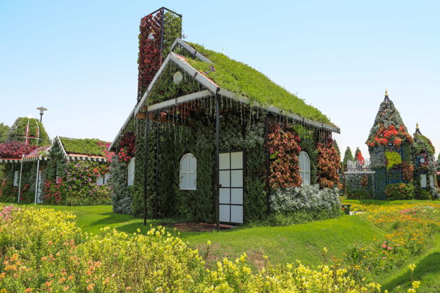 Фото экскурсии - Экскурсия в парк цветов Miracle Garden и ярмарку Global Village из Абу-Даби - 11