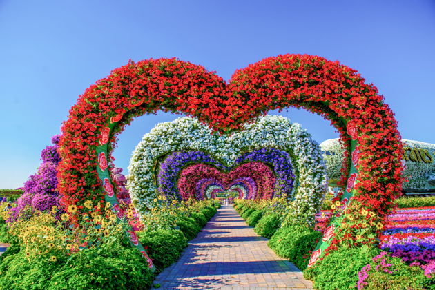 Фото экскурсии - Экскурсия в парк цветов Miracle Garden и ярмарку Global Village из Абу-Даби - 7