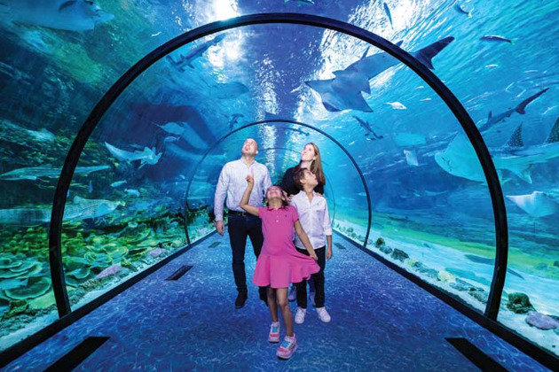 Фото - экскурсия: Билет в National Aquarium Абу-Даби: в гости к Посейдону