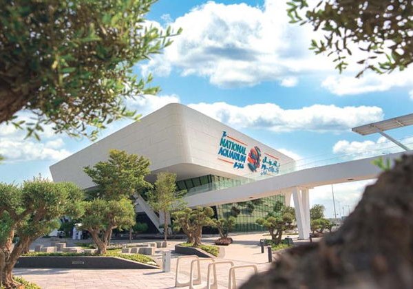 Билет в National Aquarium Абу-Даби: в гости к Посейдону - фото 1