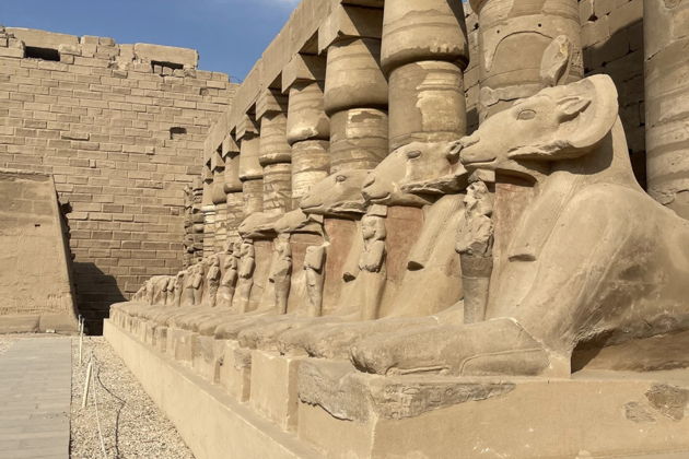 Фото экскурсии - Луксор и долина Царей в одной экскурсии - 4