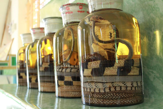 Фото - экскурсия: Обзорная прогулка по Санье на острове Хайнань