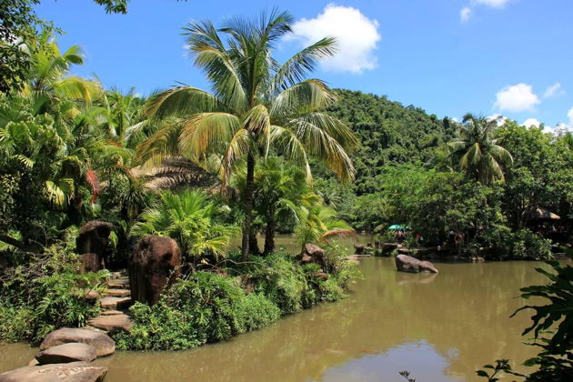 Фото экскурсии - Прогулка по тропическому лесу Янода и стеклянному мосту на Хайнане - 5