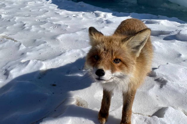 Фото экскурсии - Однодневное путешествие к сердцу Байкала на остров Ольхон - 9