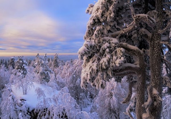 За впечатлением на восток! - фото 1