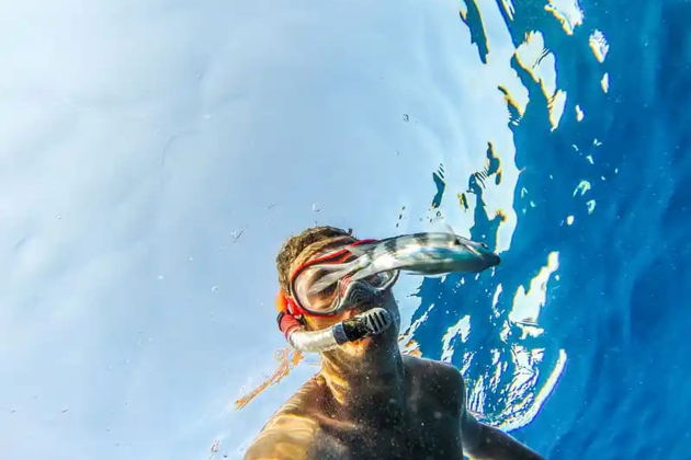 Фото экскурсии - Прогулка на катере к Оранжевому острову - 2