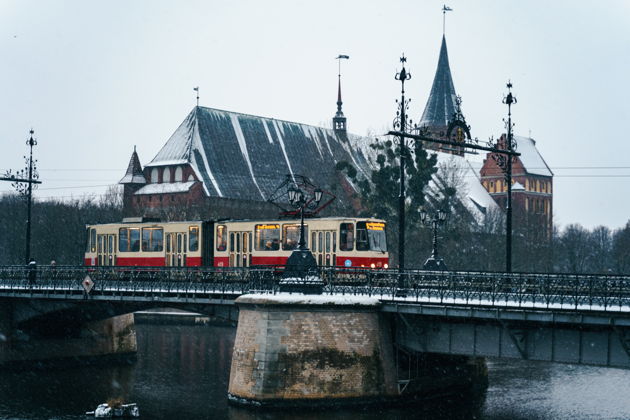 Фото экскурсии - Новогодний Калининград в рождественских огнях - 7