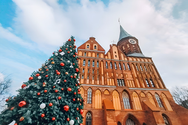 Фото - экскурсия: Новогодний Калининград в рождественских огнях