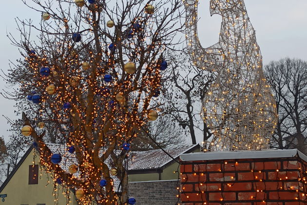 Фото экскурсии - Курортные города Зеленоградск и Светлогорск в Восточной Пруссии зимой - 3