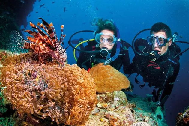 Фото экскурсии - ФУКУОК: ПОГРУЗИСЬ В ПОДВОДНЫЙ МИР С ДАЙВИНГОМ ИЛИ СНОРКЛИНГОМ - 11