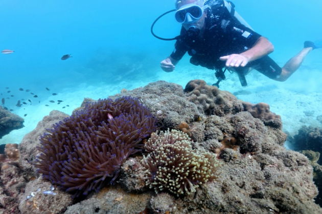 Фото экскурсии - ФУКУОК: ПОГРУЗИСЬ В ПОДВОДНЫЙ МИР С ДАЙВИНГОМ ИЛИ СНОРКЛИНГОМ - 3
