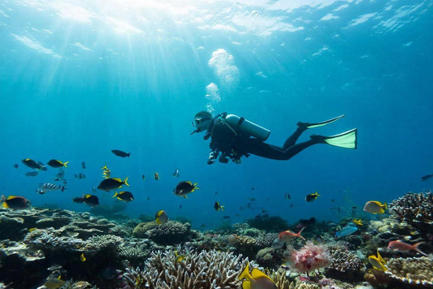 Фото - экскурсия: ФУКУОК: ДАЙВИНГ или СНОРКЛИНГ! ОТКРОЙ МОРСКИЕ ТАЙНЫ!