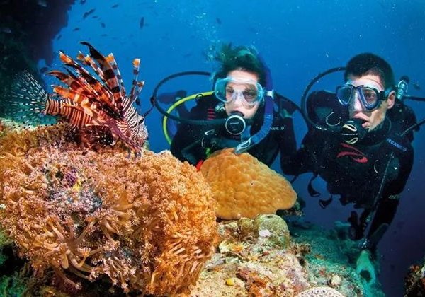 ФУКУОК: ОТКРОЙ МОРСКИЕ ТАЙНЫ!  ДАЙВИНГ или СНОРКЛИНГ! - фото 3
