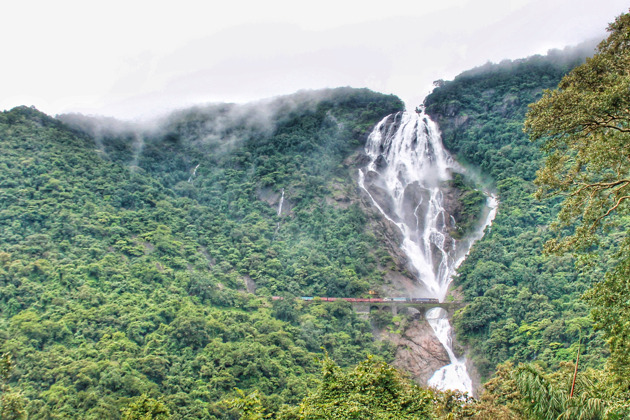 Фото - экскурсия: Гоа за один день — водопады, джунгли, храмы и вкус настоящей Индии