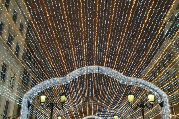 Фото экскурсии - Новогодние огни Санкт-Петербурга - 6