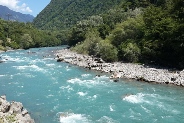 Фото экскурсии - Экскурсия на озеро Рица из Гагры и Пицунды - 5