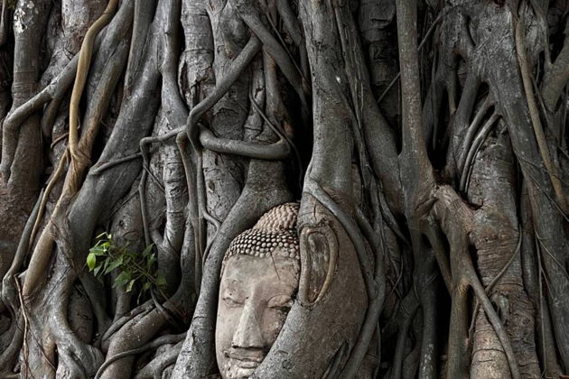 Фото экскурсии - Однодневный тур в Бангкок и Аюттайю из Паттайи - 2
