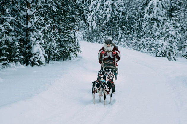Фото экскурсии - Встречаем Новый 2025 год в Карелии с визитом к Деду Морозу в Петрозаводске - 11