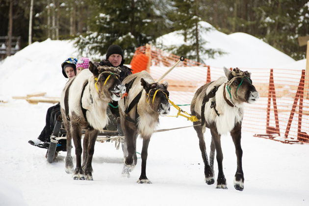 Фото экскурсии - Волшебство Онежского озера: Петрозаводск и резиденция Деда Мороза - 4