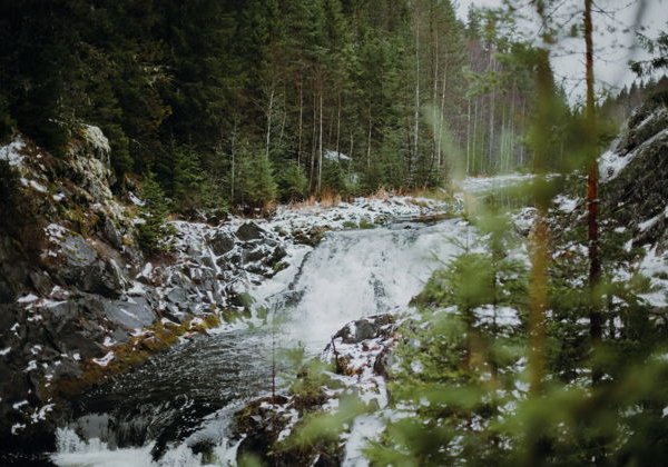 День в Карелии: в гости к хаски и карельскому Деду Морозу - фото 4