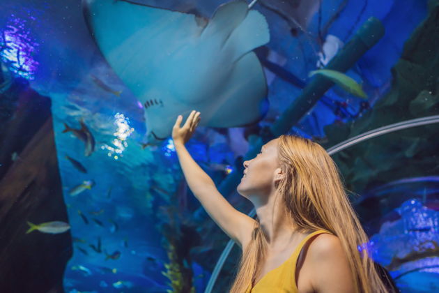 Фото экскурсии - Билет в парк VinWonders включает аттракционы, аквариум и шоу-программы - 6