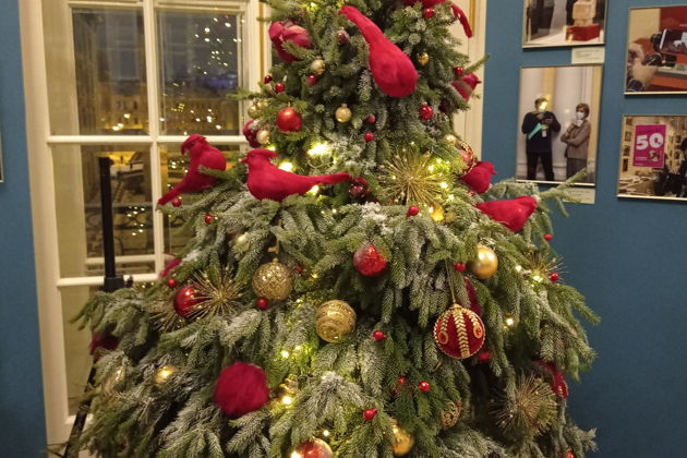 Фото экскурсии - Встречаем Новый год и Рождество в залах Эрмитажа - 1