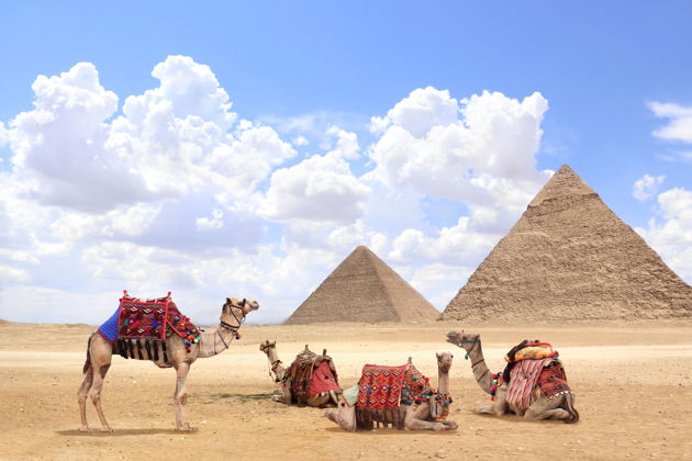 Фото экскурсии - Загадки египетских пирамид от Джосера до Гизы и Великого Сфинкса - 6