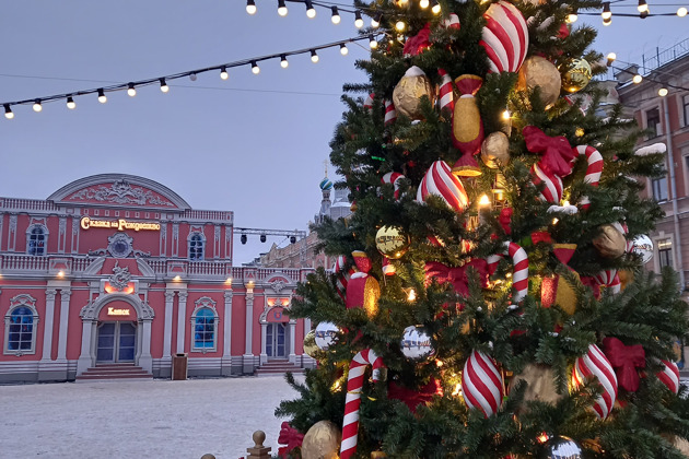 Фото - экскурсия: Волшебное путешествие по зимнему Петербургу в новогодние праздники