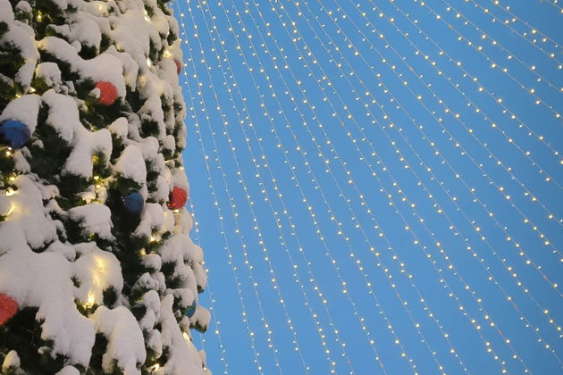 Фото экскурсии - Волшебный город W в рождественские дни - 10