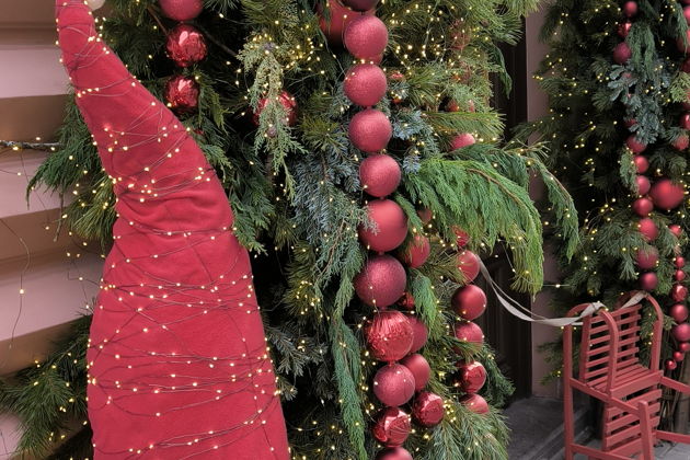 Фото экскурсии - Волшебный город W в рождественские дни - 5