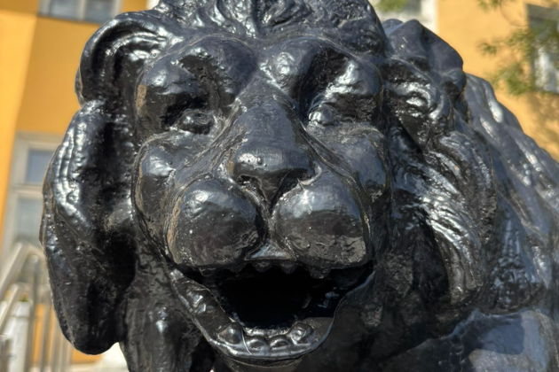 Фото экскурсии - Петрозаводск вчера и сегодня - 2