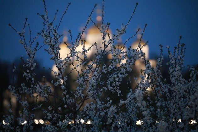 Фото экскурсии - Прогулка от Театральной до Соборной площади с авторской экскурсией и фотосессией - 5