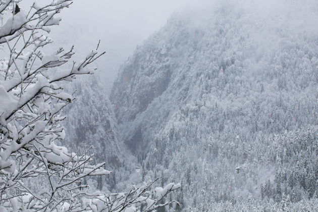 Фото экскурсии - Новогоднее путешествие в гостеприимную Абхазию - 5