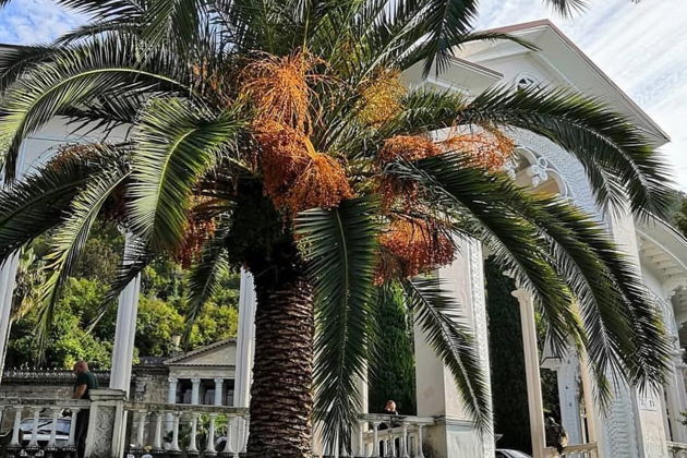 Фото экскурсии - Новогоднее путешествие в гостеприимную Абхазию - 7