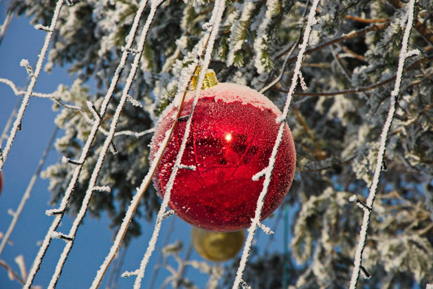 Фото - экскурсия: Новогоднее путешествие в гостеприимную Абхазию